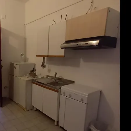 Sinas * 팔리누로